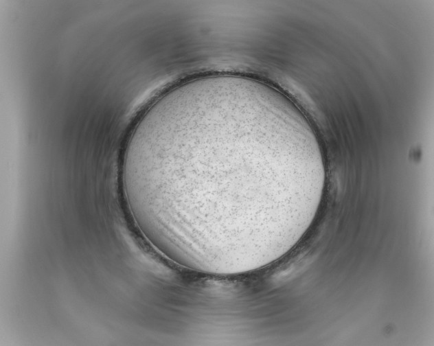 X0000089860442200707262131