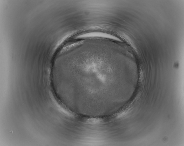 X0000089860444200707262131