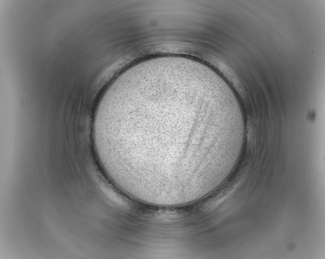 X0000089860445200707262131