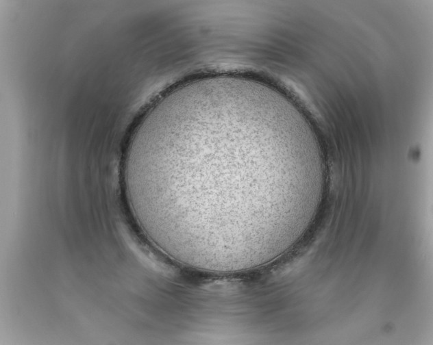 X0000089860447200707262131