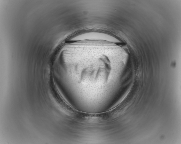 X0000089860448200707262131