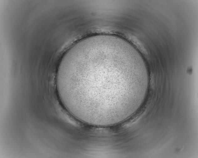 X0000089860449200707262131