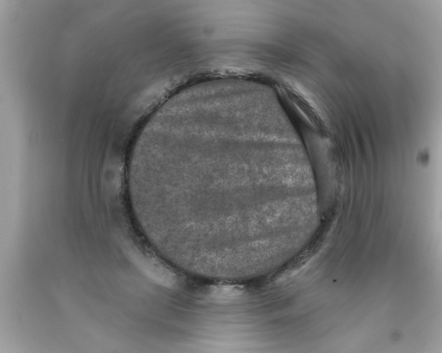 X0000089860451200707262131