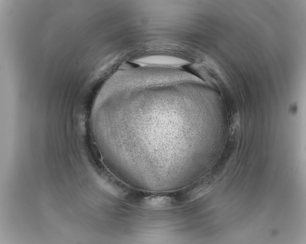 X0000089860452200707262131