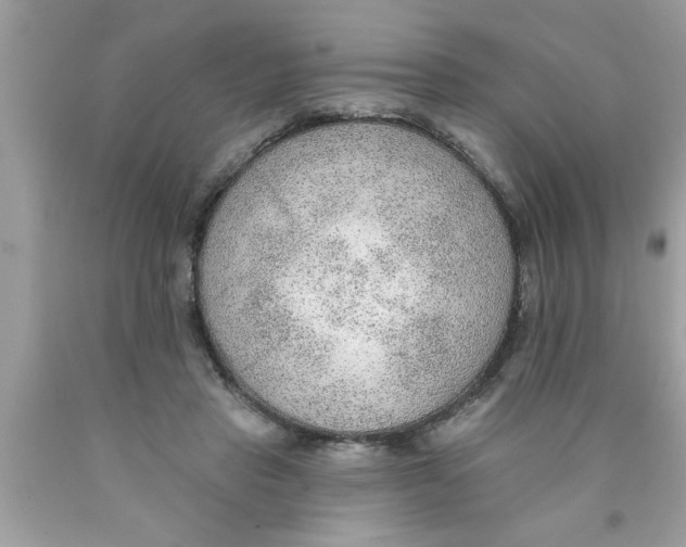X0000089860453200707262131