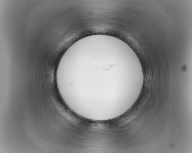 X0000089860454200707262131