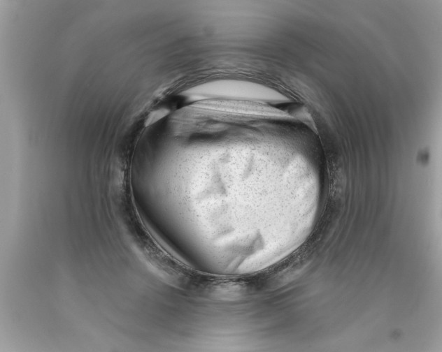 X0000089860456200707262131