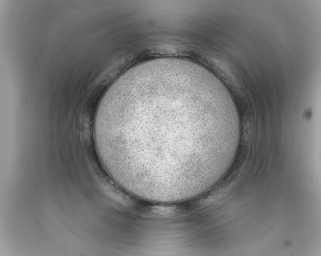 X0000089860457200707262131
