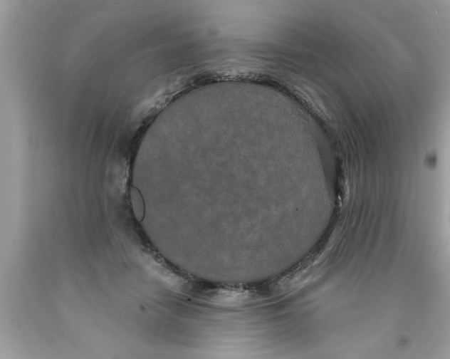 X0000089860458200707262131