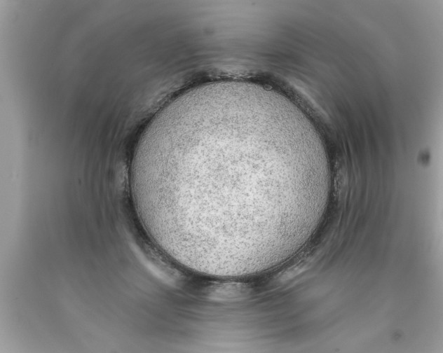 X0000089860459200707262131