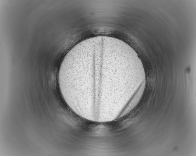 X0000089860460200707262131