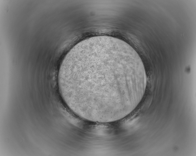 X0000089860462200707262132