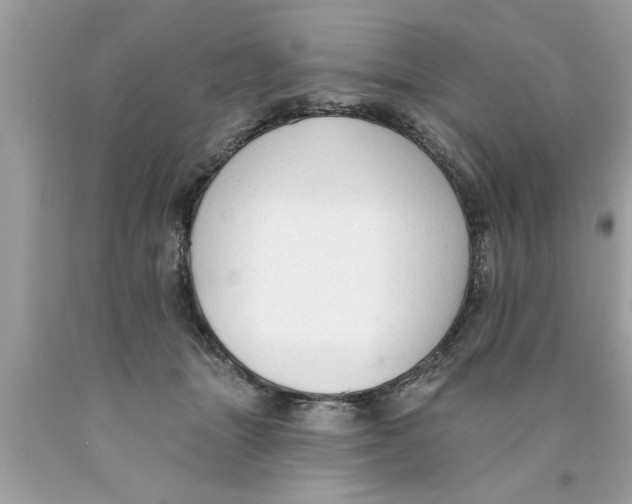 X0000089860463200707262132