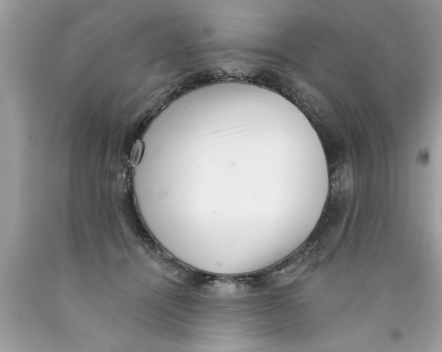 X0000089860464200707262132