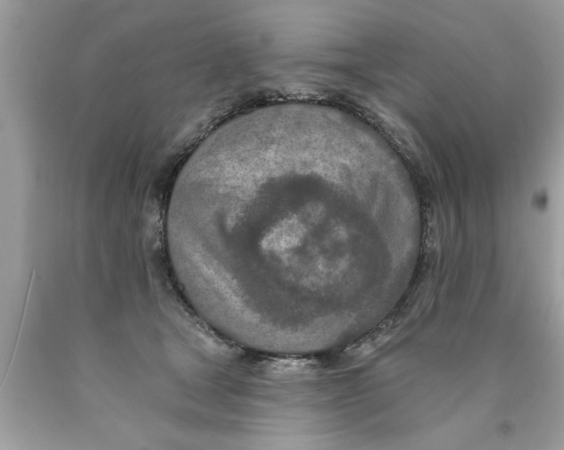 X0000089860465200707262132