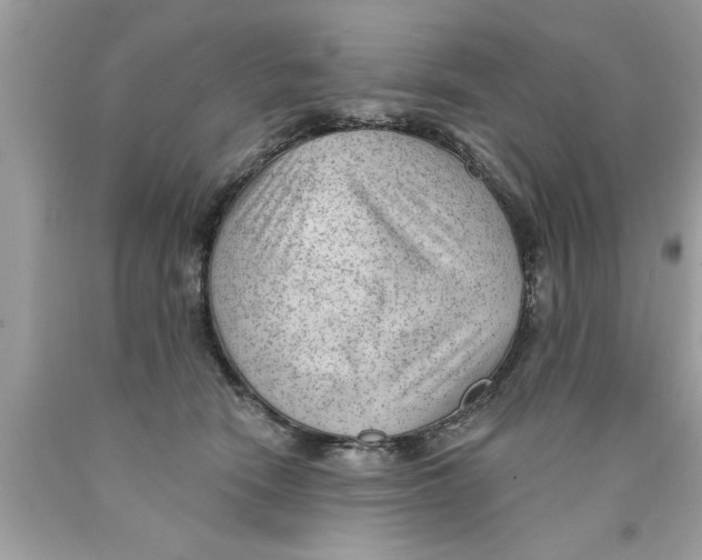 X0000089860466200707262132