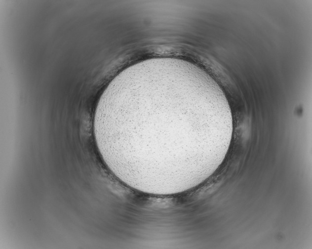 X0000089860469200707262132
