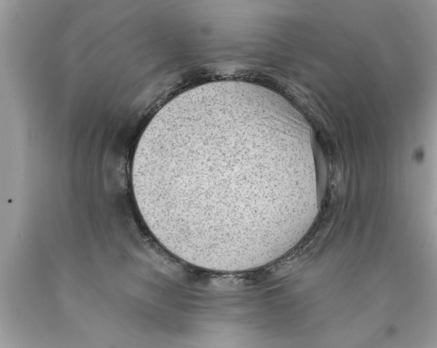 X0000089860470200707262132