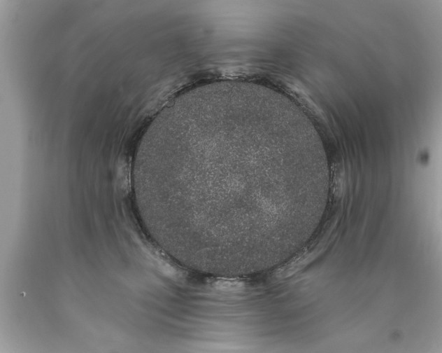 X0000089860471200707262132