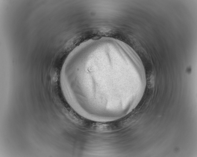 X0000089860472200707262132