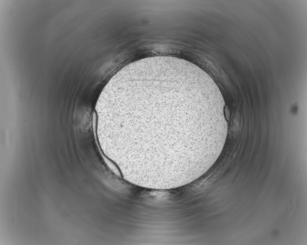 X0000089860478200707262132