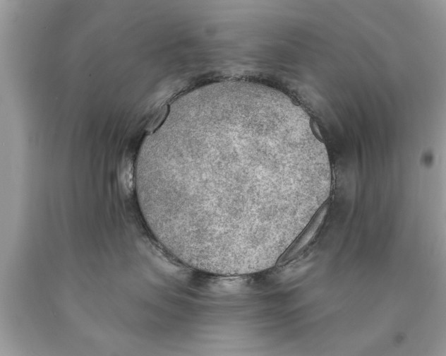 X0000089860479200707262132