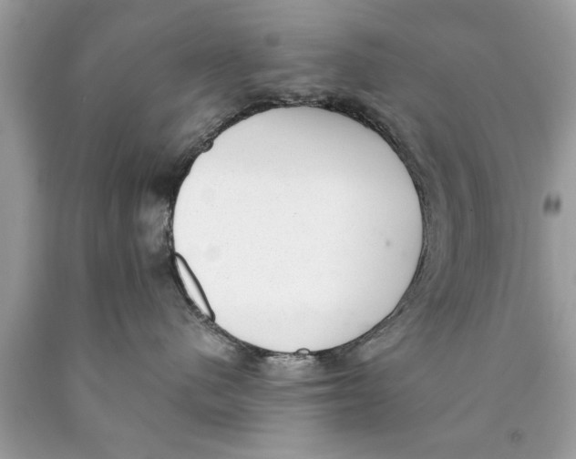 X0000089860480200707262132