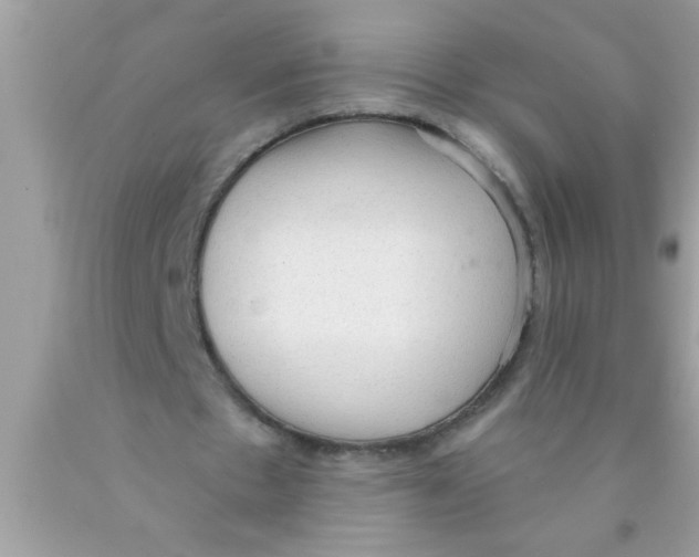 X0000089860481200707262131