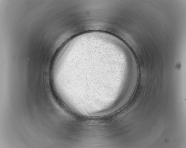 X0000089860482200707262131