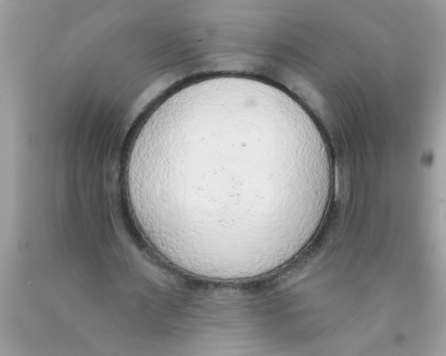 X0000089860483200707262131
