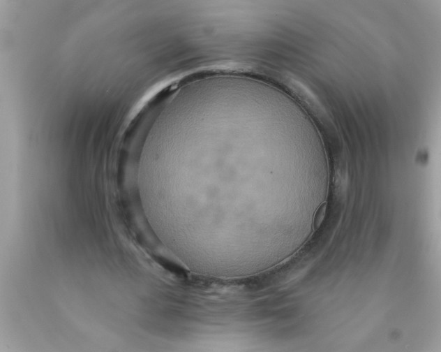 X0000089860484200707262131