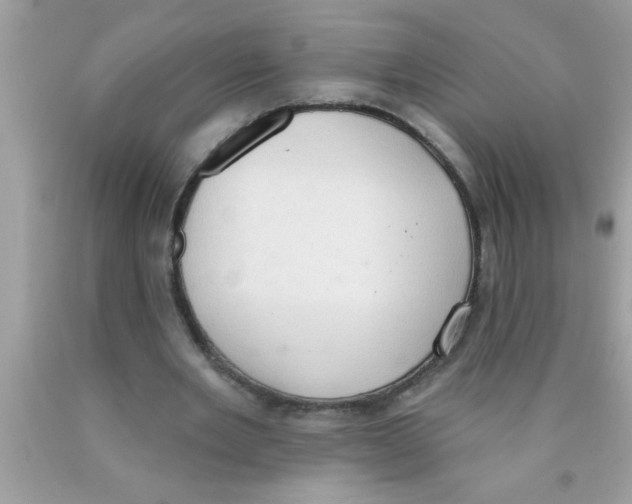 X0000089860485200707262131