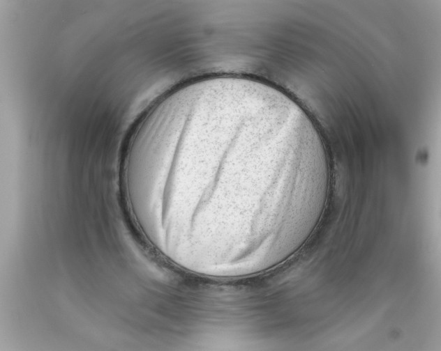 X0000089860486200707262131