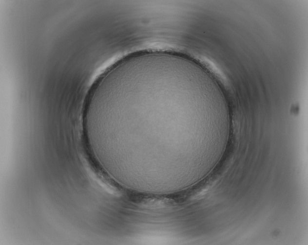 X0000089860488200707262131