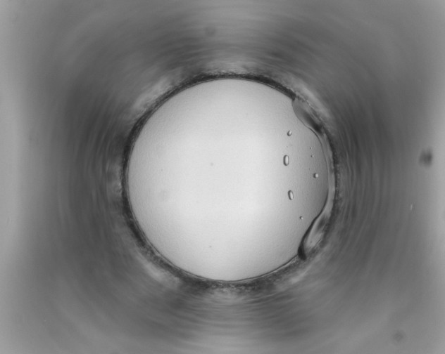 X0000089860489200707262131