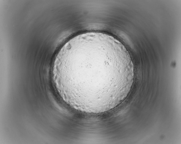 X0000089860491200707262131