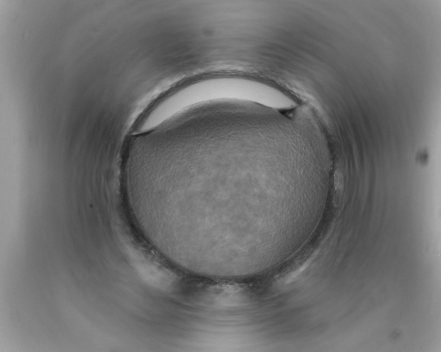 X0000089860492200707262131
