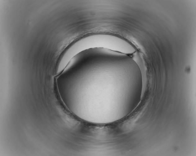 X0000089860493200707262131