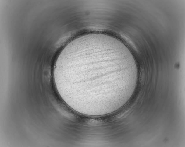 X0000089860494200707262131