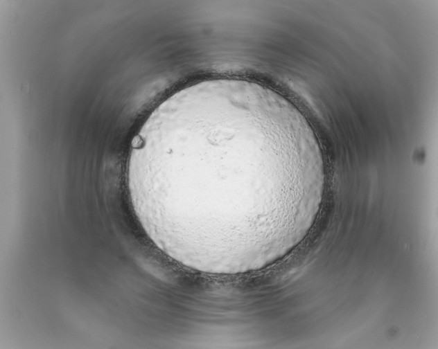 X0000089860495200707262131