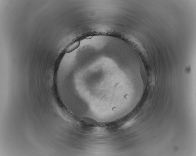 X0000089860496200707262131