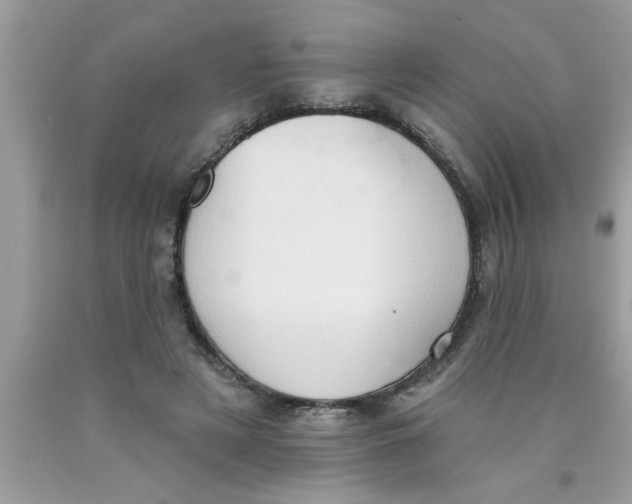 X0000089860497200707262131