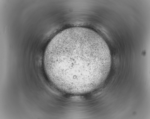 X0000089860499200707262131