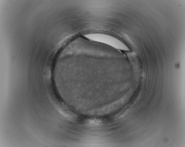 X0000089860500200707262131