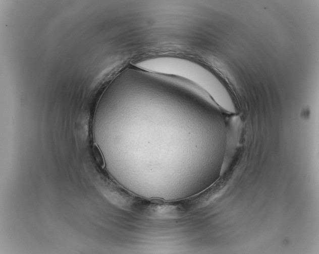 X0000089860501200707262131