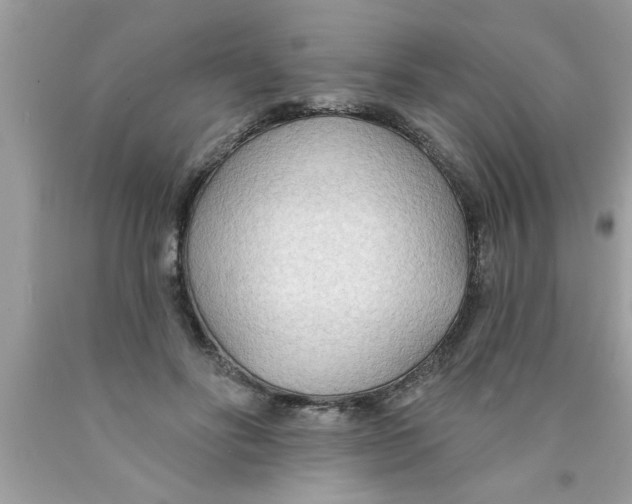 X0000089860502200707262131