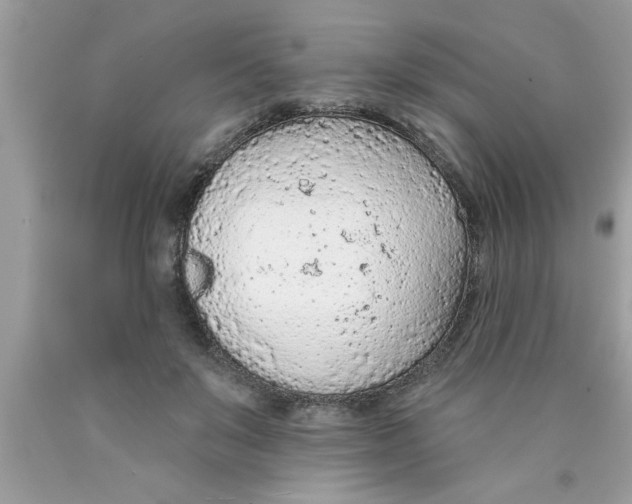 X0000089860503200707262131
