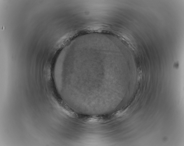 X0000089860504200707262131