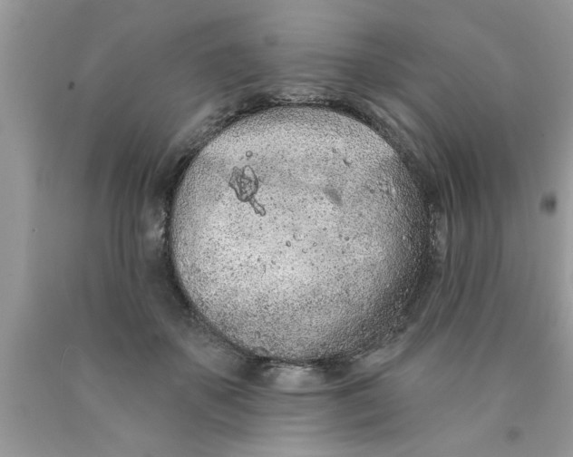 X0000089860507200707262131
