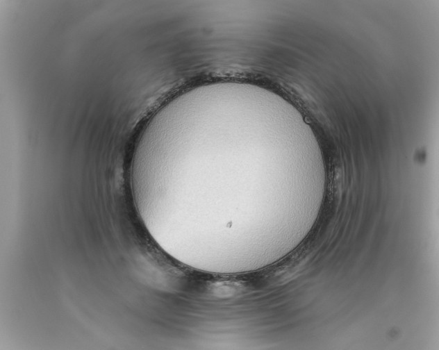 X0000089860508200707262131